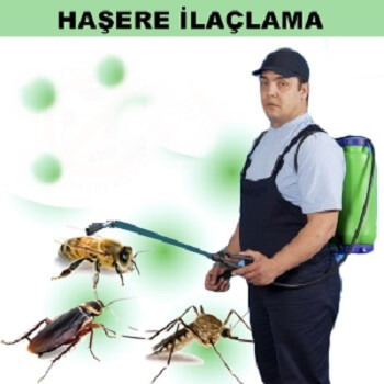 Borçka Böcek İlaçlama